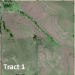 Two Ponca Area Farms - 294.75 Acres